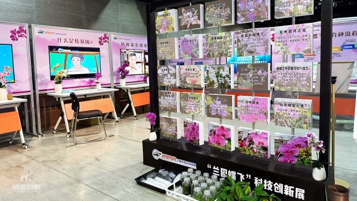 20240911 ‘科学方舟’流动科普巡展（山东省创新驱动发展大会主场活动暨第十六届山东省科协年会系列活动 (6).jpg