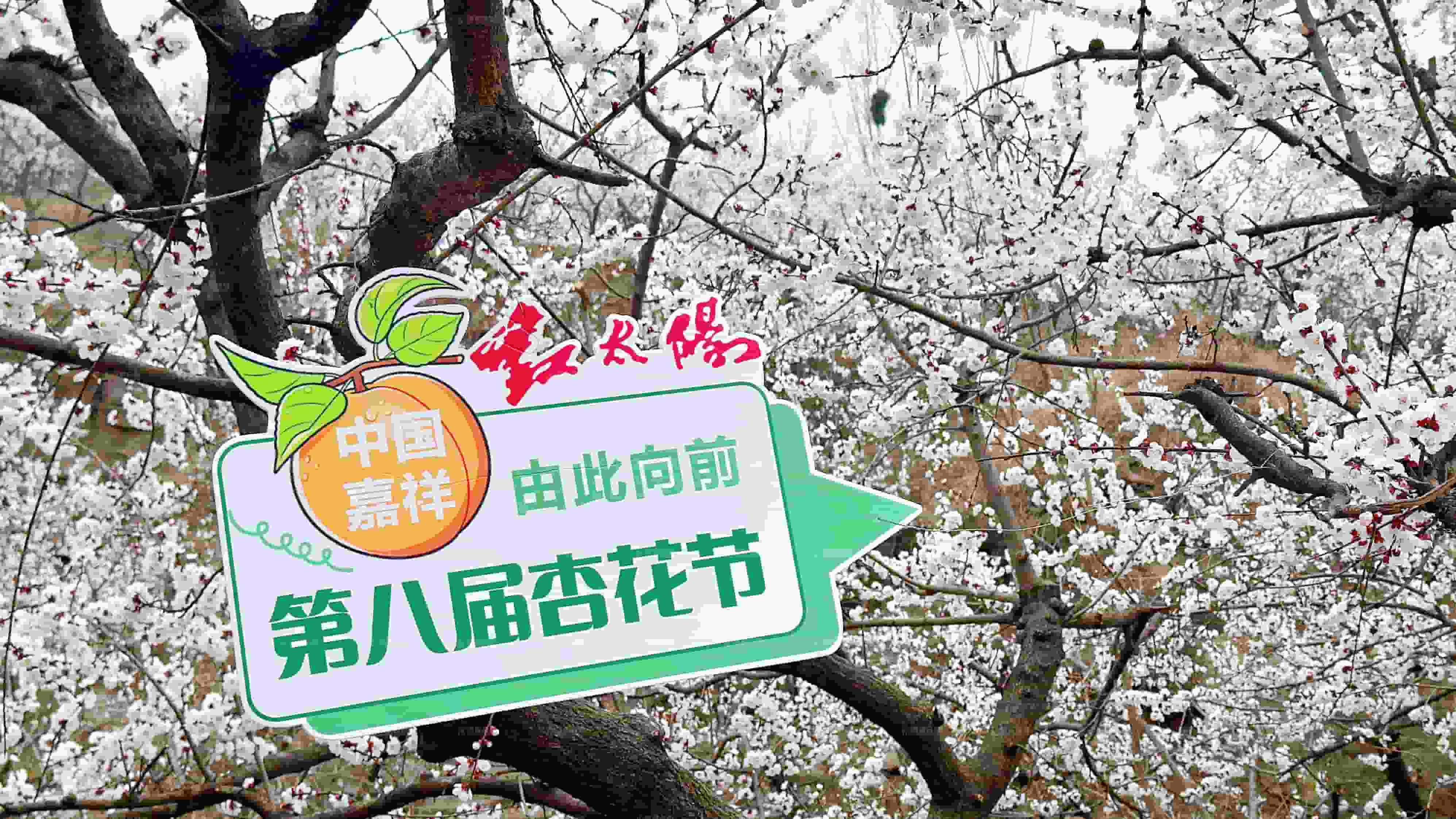 2026_03_13_15_30_30_IMG_5754_副本.jpg